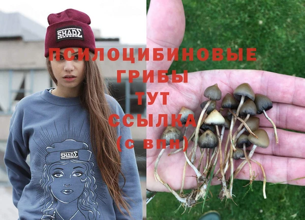 2c-b Аркадак